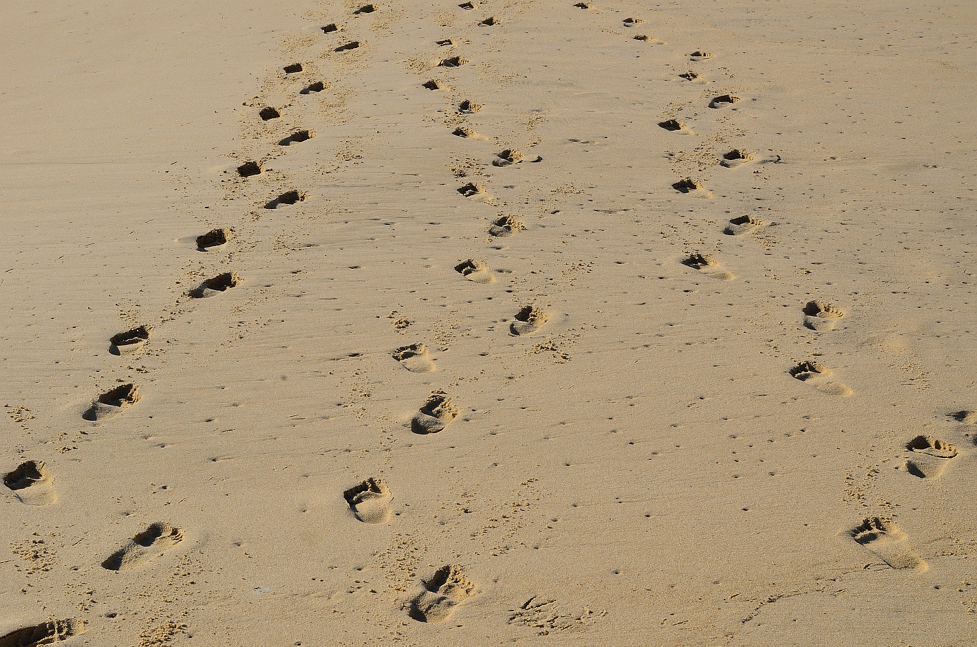 Deine Spuren im Sand, your tracks in the sand, tus huellas en la arena