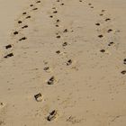 Deine Spuren im Sand, your tracks in the sand, tus huellas en la arena