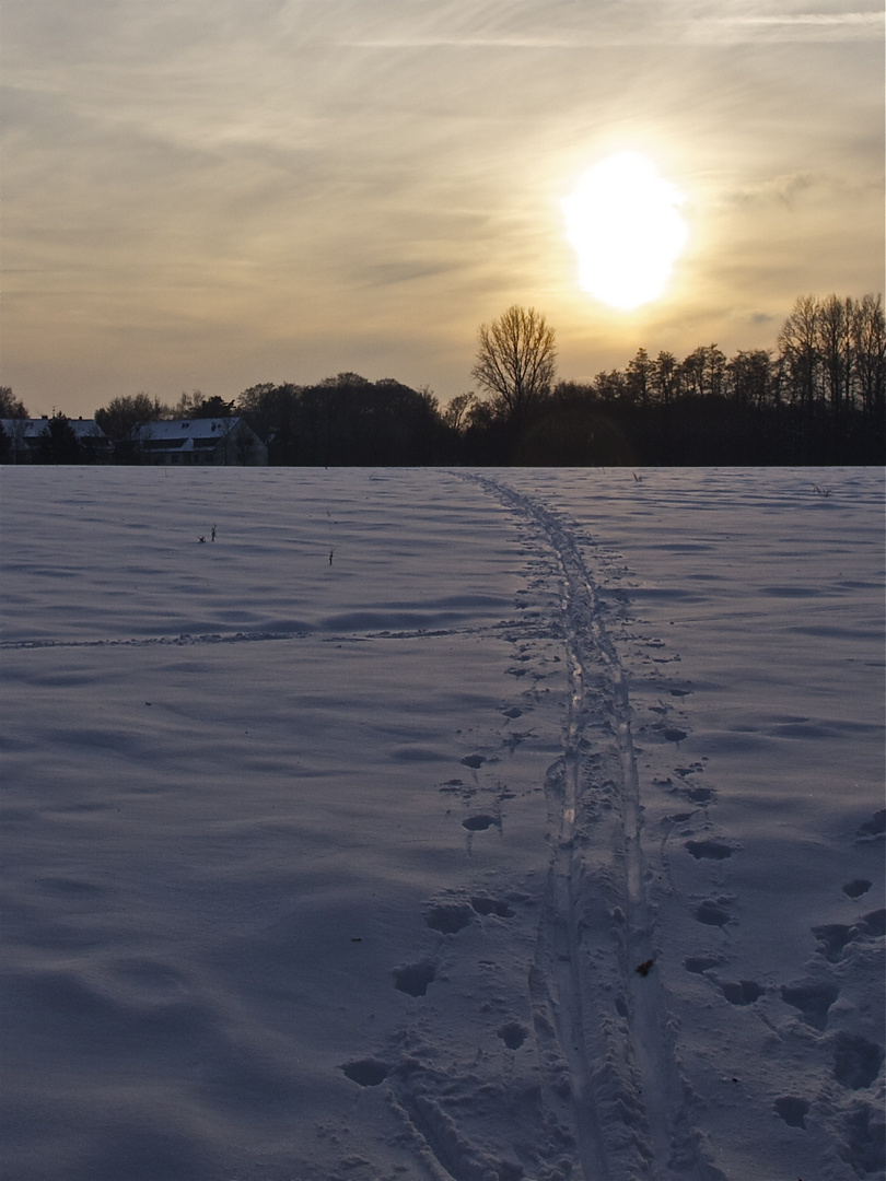 Deine Spuren im Schnee...