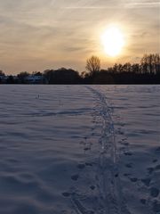 Deine Spuren im Schnee...