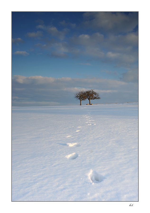 Deine Spuren im Schnee