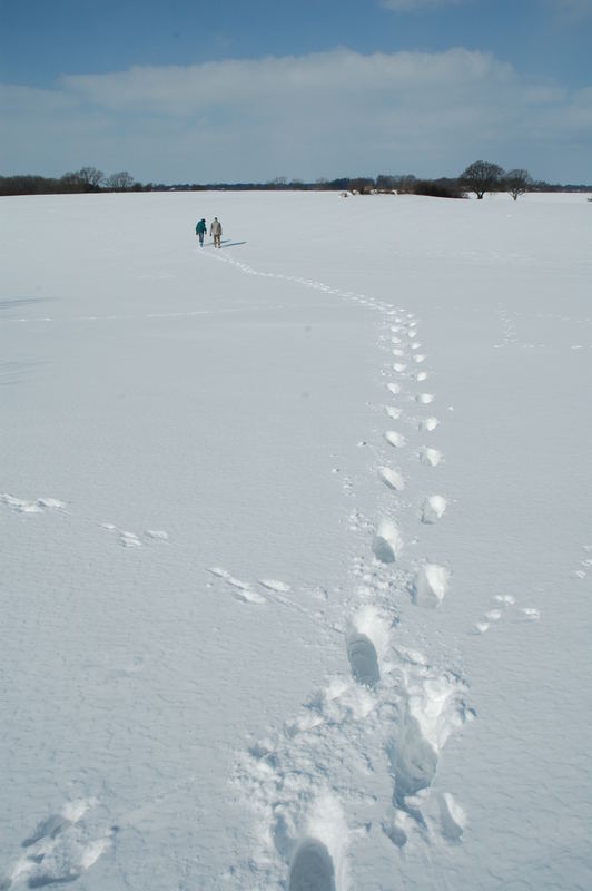 Deine Spuren im ....... Schnee!