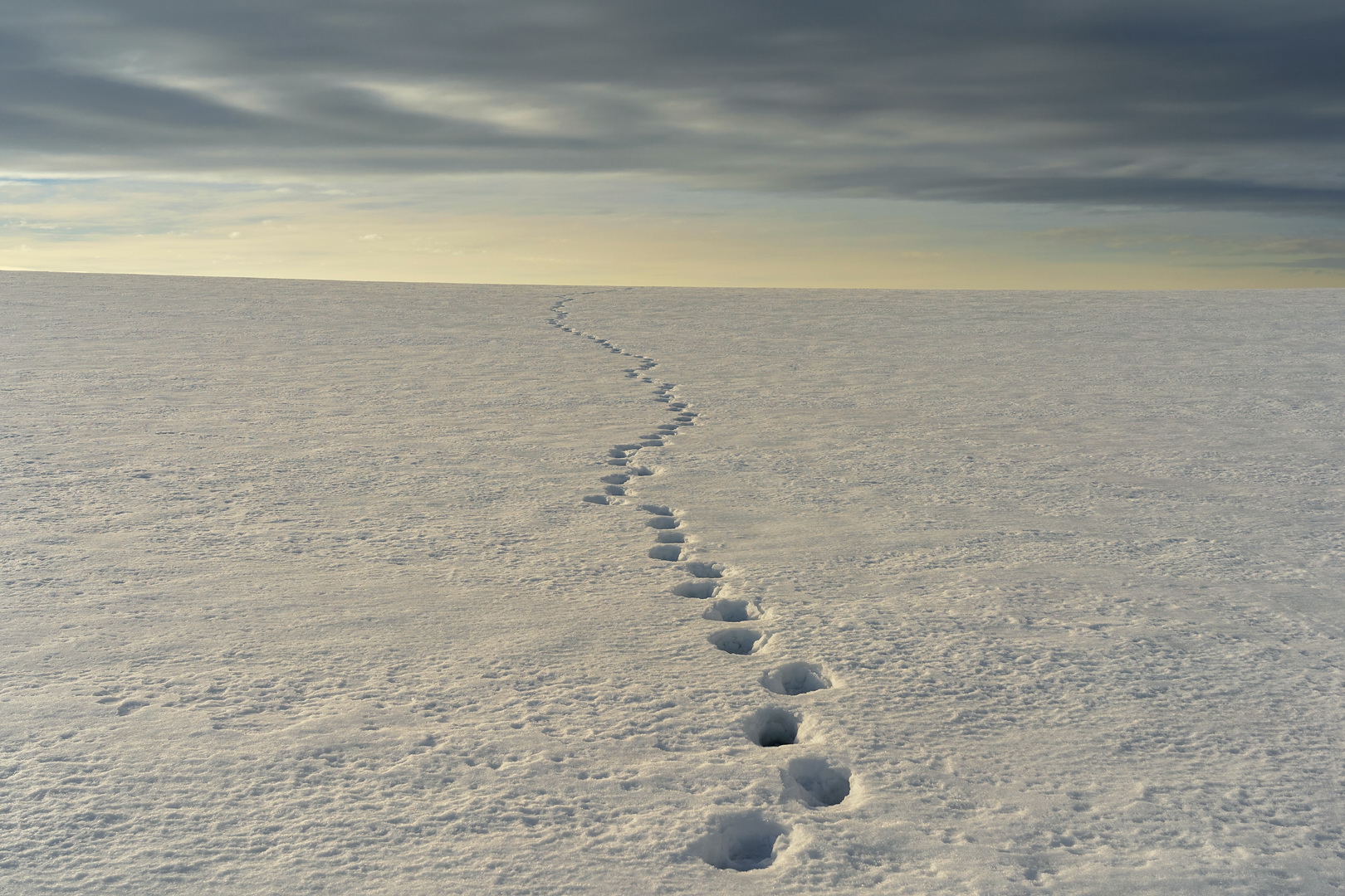 Deine Spuren im Schnee