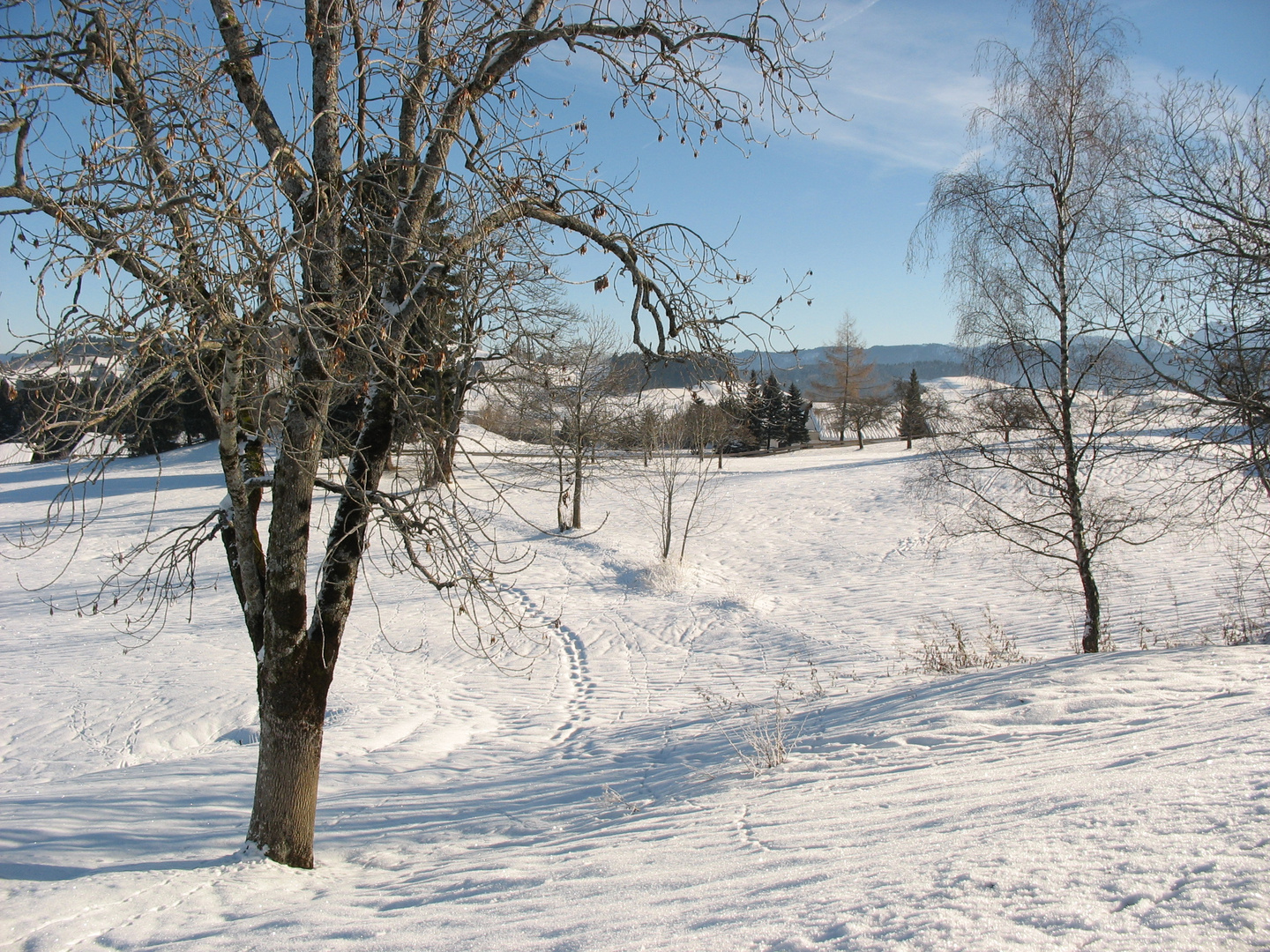 Deine Spuren im Schnee