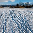 Deine Spuren im Schnee, die ich immer noch seh.