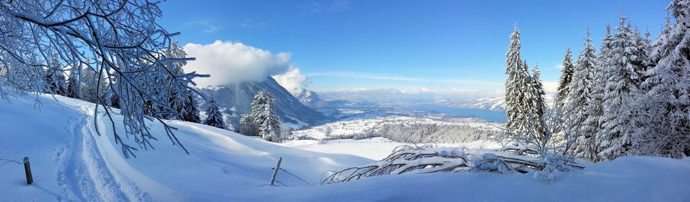 Deine Spuren im Schnee