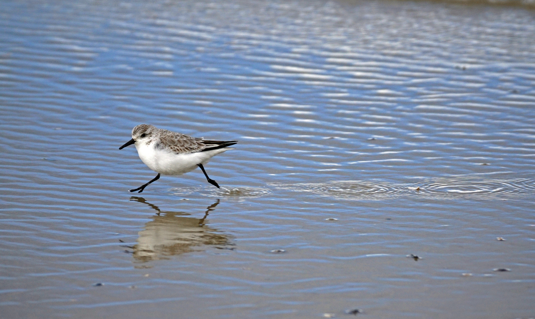 Deine Spuren im Wasser