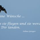 Deine Wünsche .... lass sie fliegen und sie werden bei Dir landen.