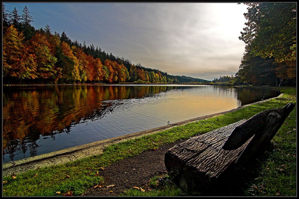 Deininger Weiher 3