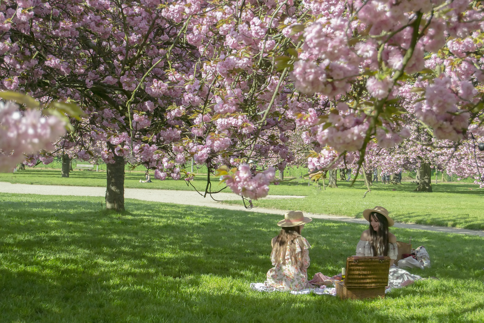 Déjeuner sur l'herbe