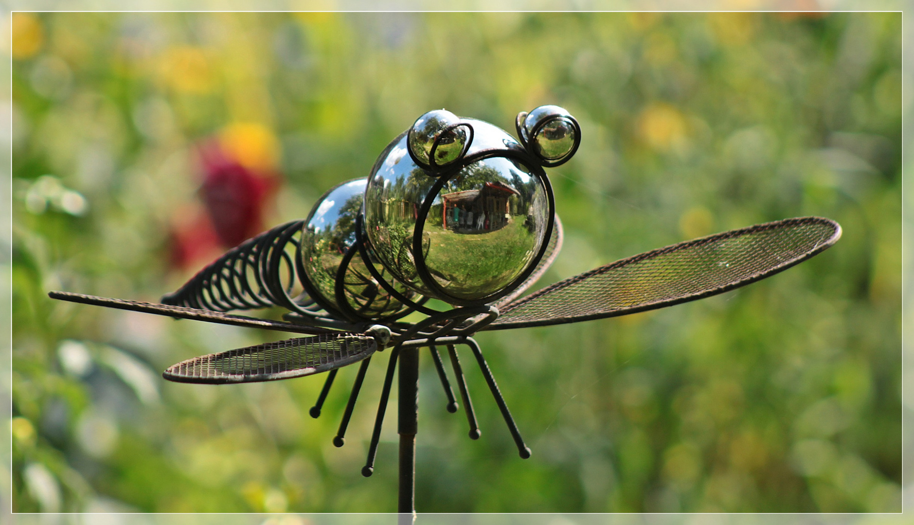 Deko Insekten Spiegelung