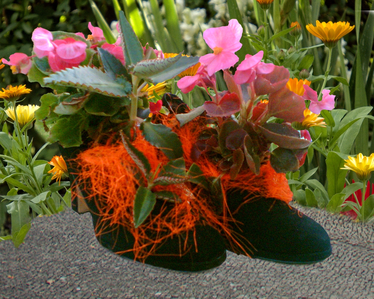 Deko Schuhe Foto & Bild | fotomontage, landschaften, blumen Bilder auf