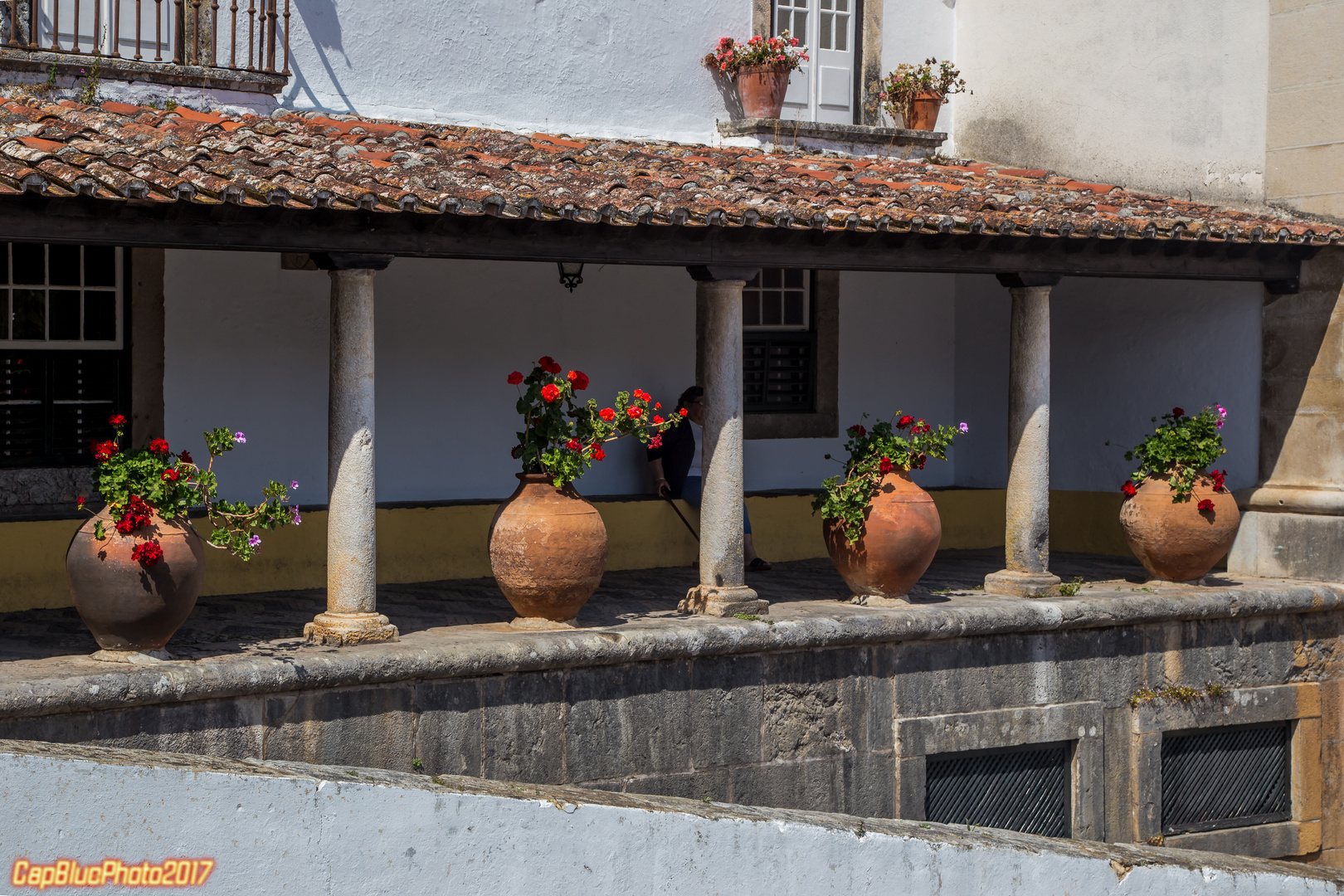 Dekorative Säulen am Haus mit grossen Blumenvasen