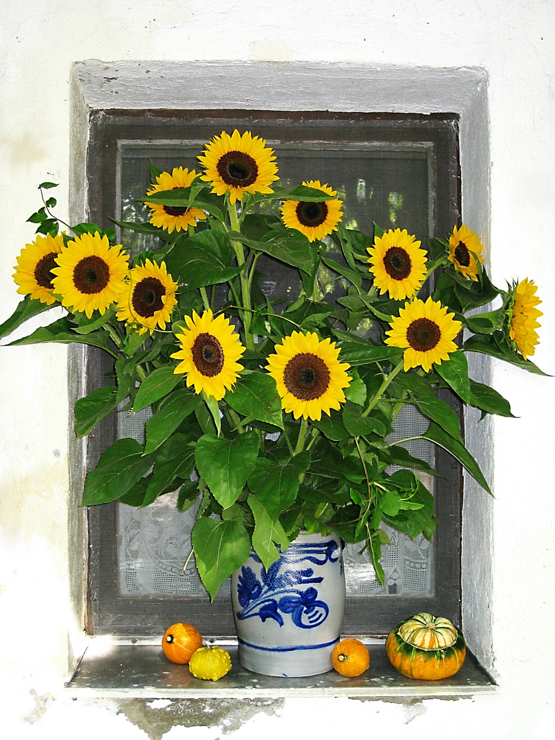"Dekorative Sonnenblumen"