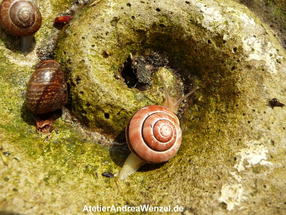 Dekoschnecke aus Stein