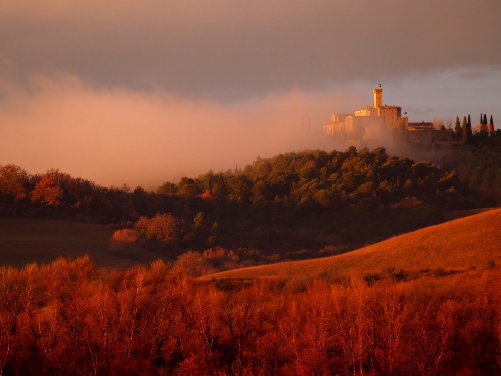 ....del buon Brunello!