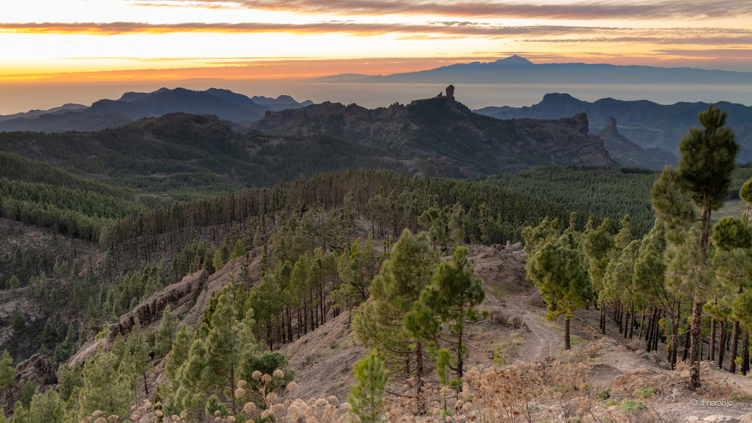 DEL CAMINO AL NUBLO GRAN CANARIA