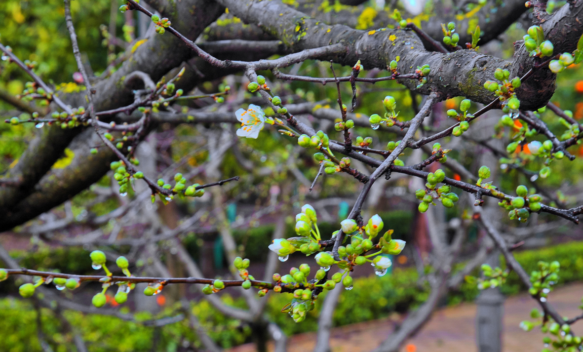 DEL INVIERNO A LA PRIMAVERA...