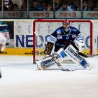 DEL: Iserlohn Roosters - Thomas Sabo Ice Tigers 7/9