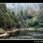 Del otro lado de la laguna