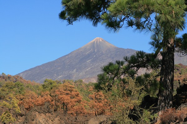 del Teide