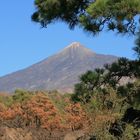 del Teide