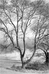 Delaplane November - A Piedmont Impression