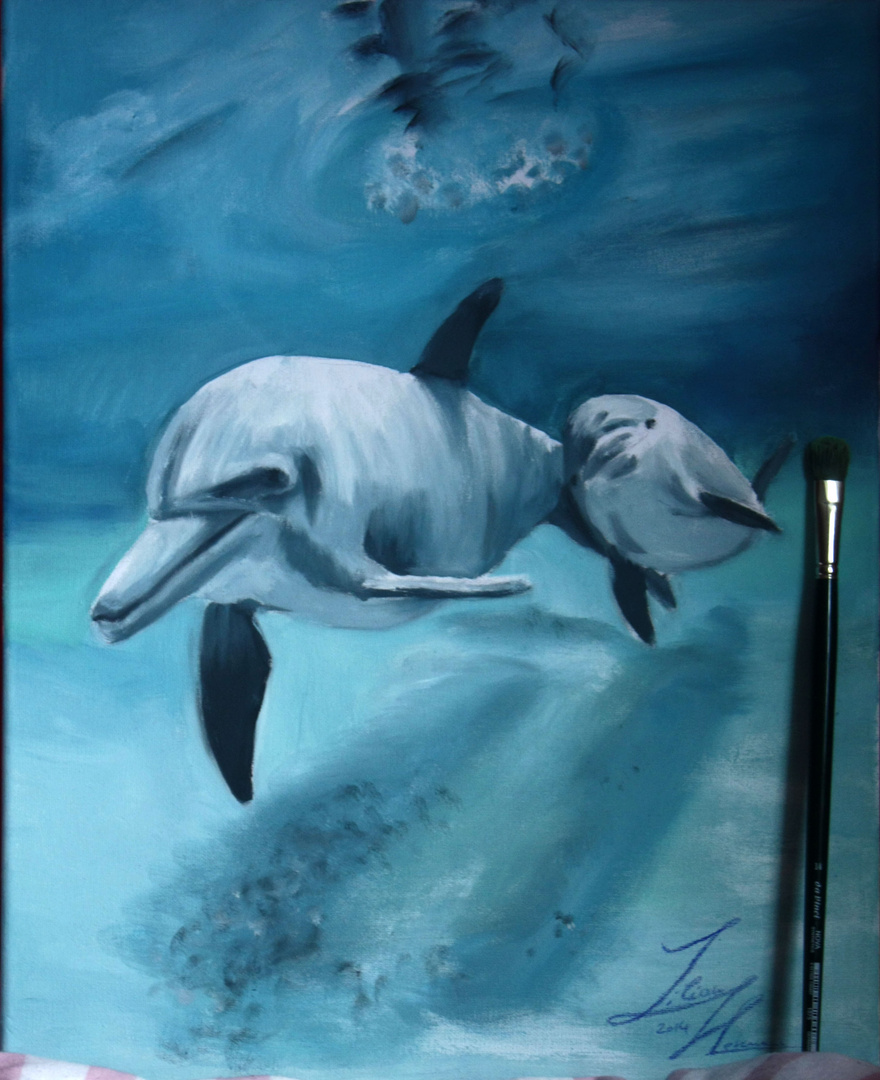 Delfin