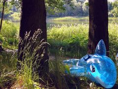 Delfin im Wald