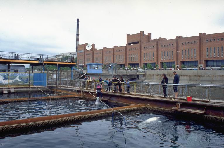 Delfinarium in Vladivostok