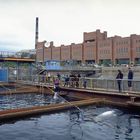 Delfinarium in Vladivostok