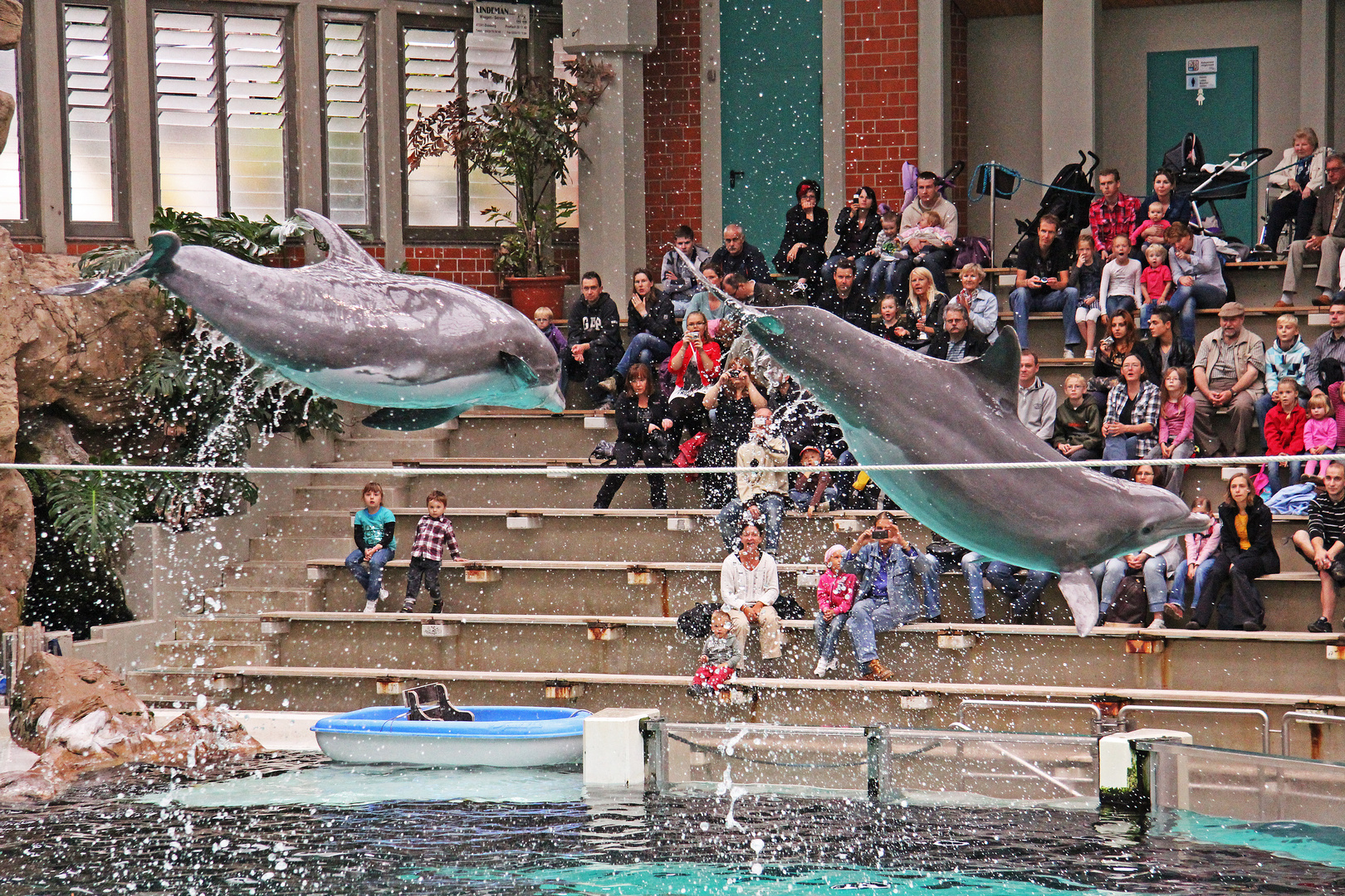 Delfine im Duisburger Zoo