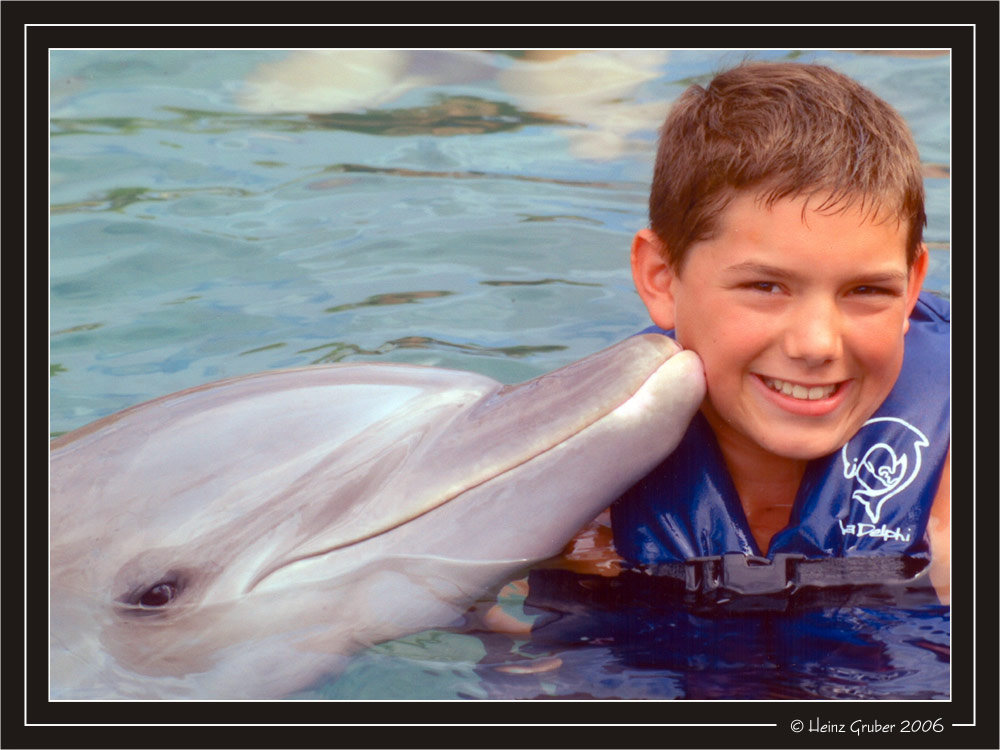 Delfinliebe - dolphinlove