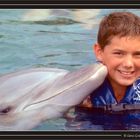 Delfinliebe - dolphinlove