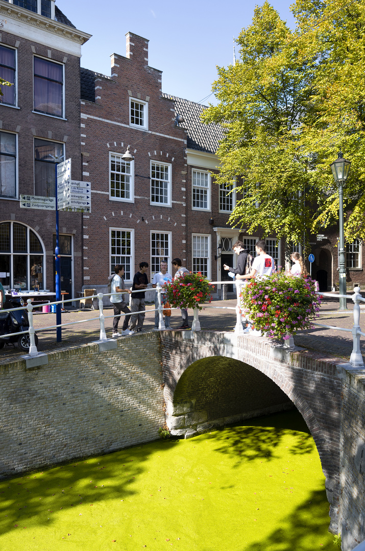 Delft 4