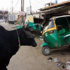 Delhi - Local market