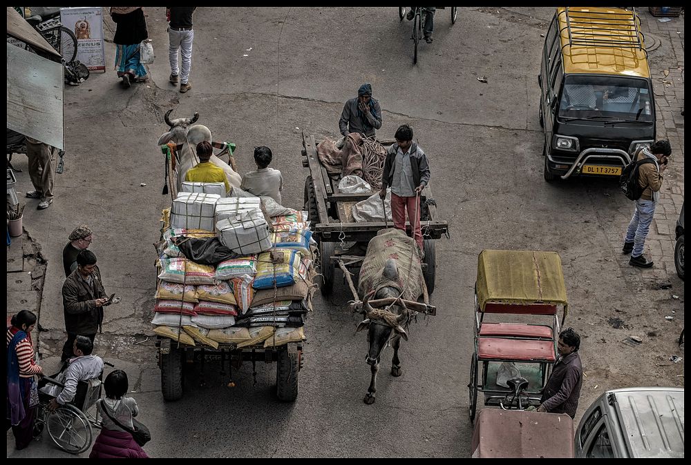 Delhi - Straßenszene