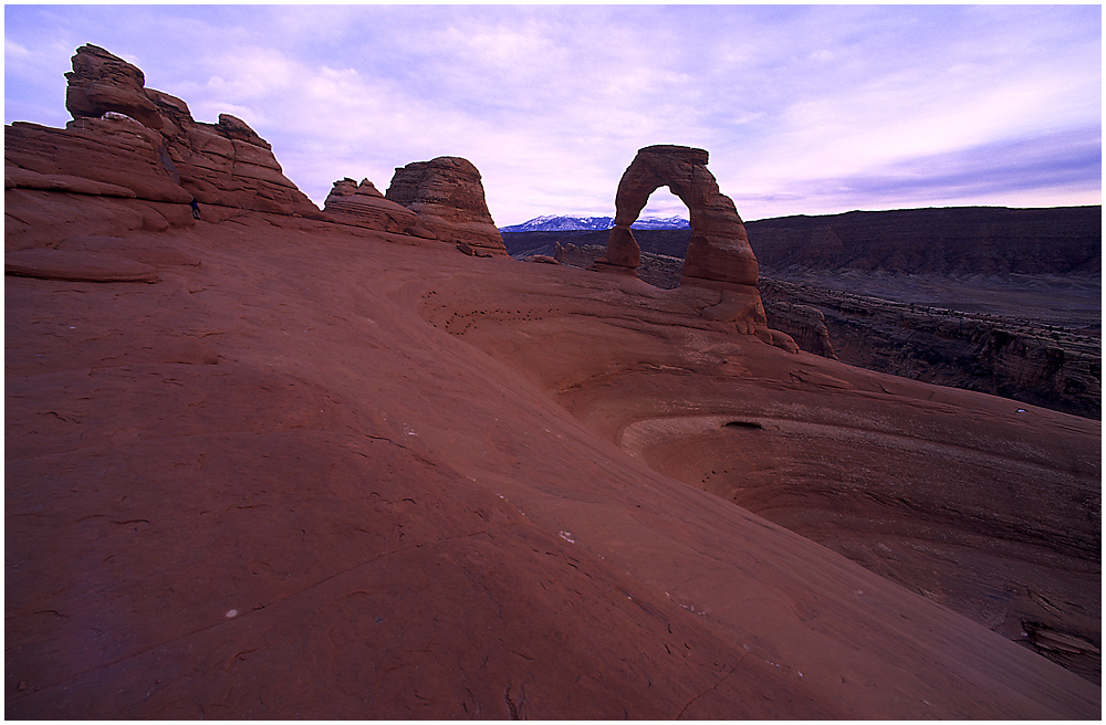 DELICATE ARCH