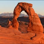 [ Delicate Arch ]