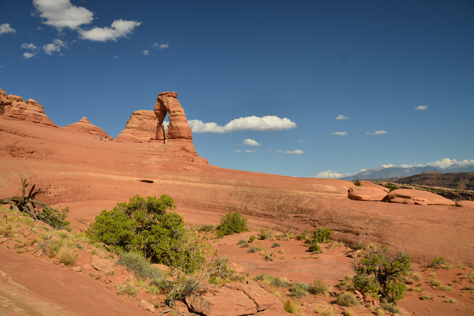 Delicate Arch