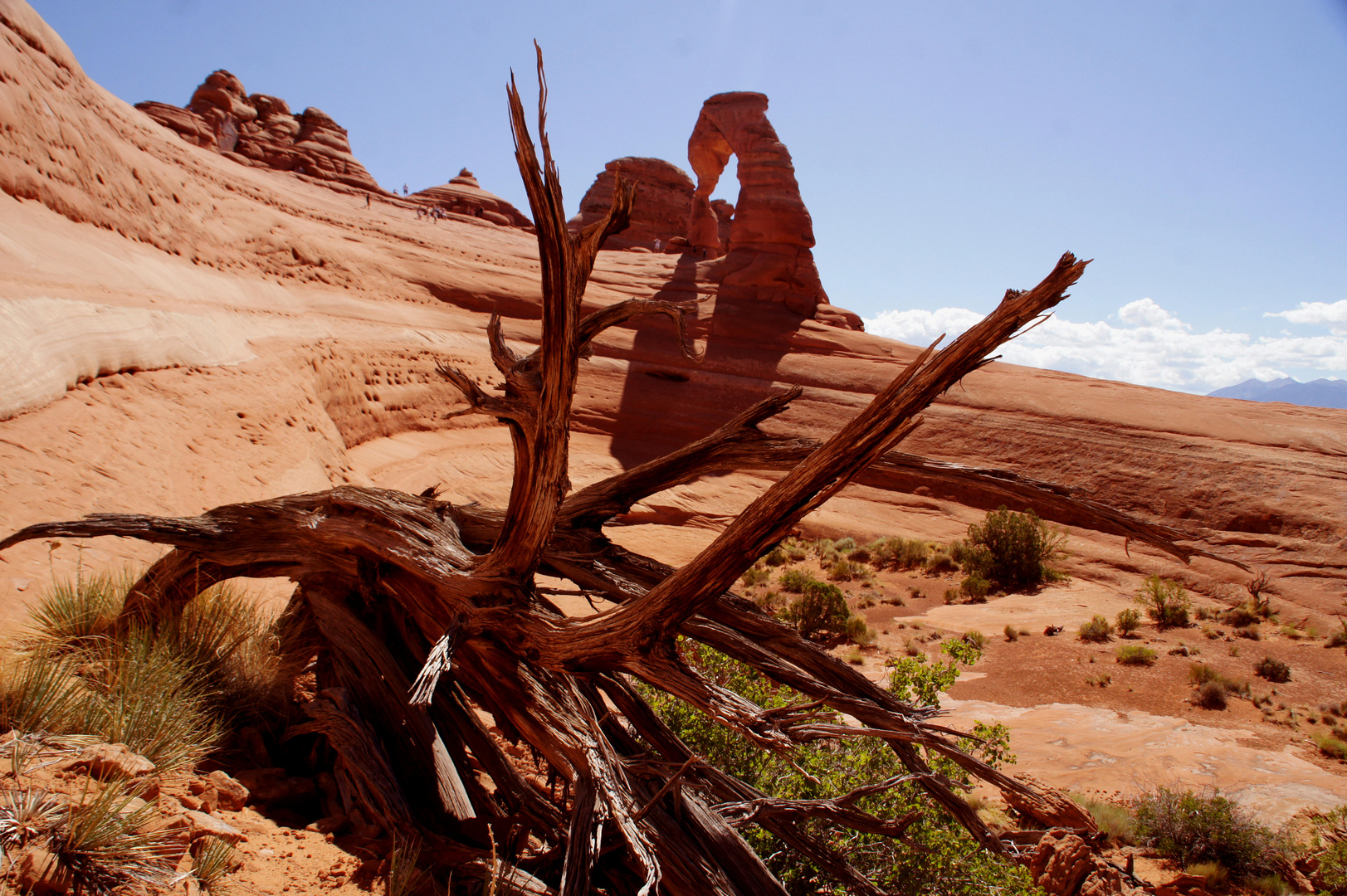 Delicate Arch