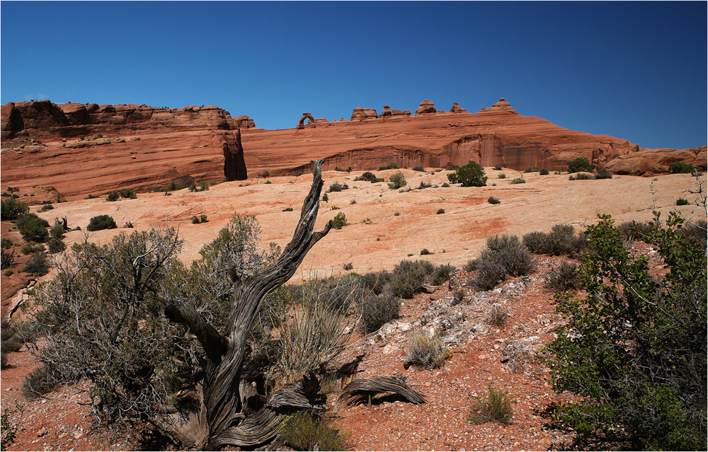 Delicate Arch...