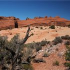 Delicate Arch...