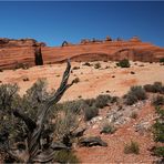 Delicate Arch...