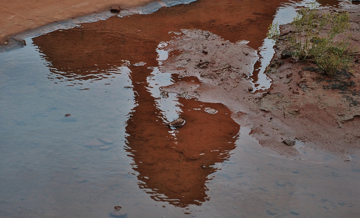 Delicate Arch