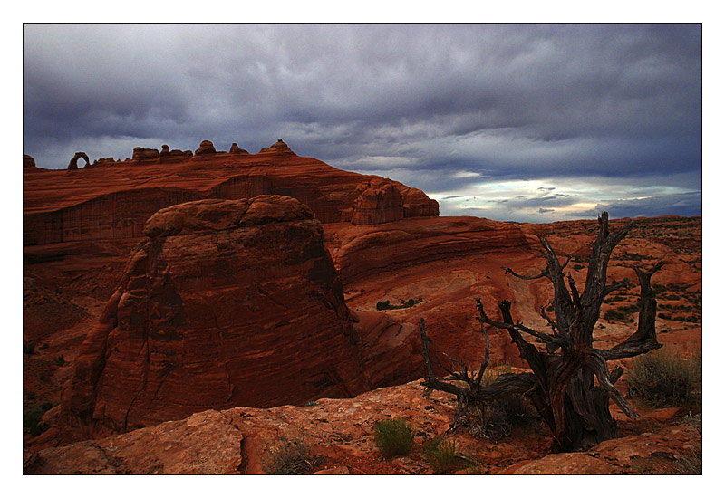 Delicate Arch