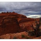 Delicate Arch