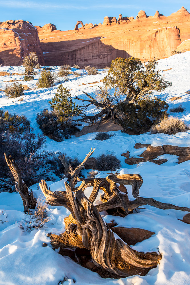 Delicate Arch von unten