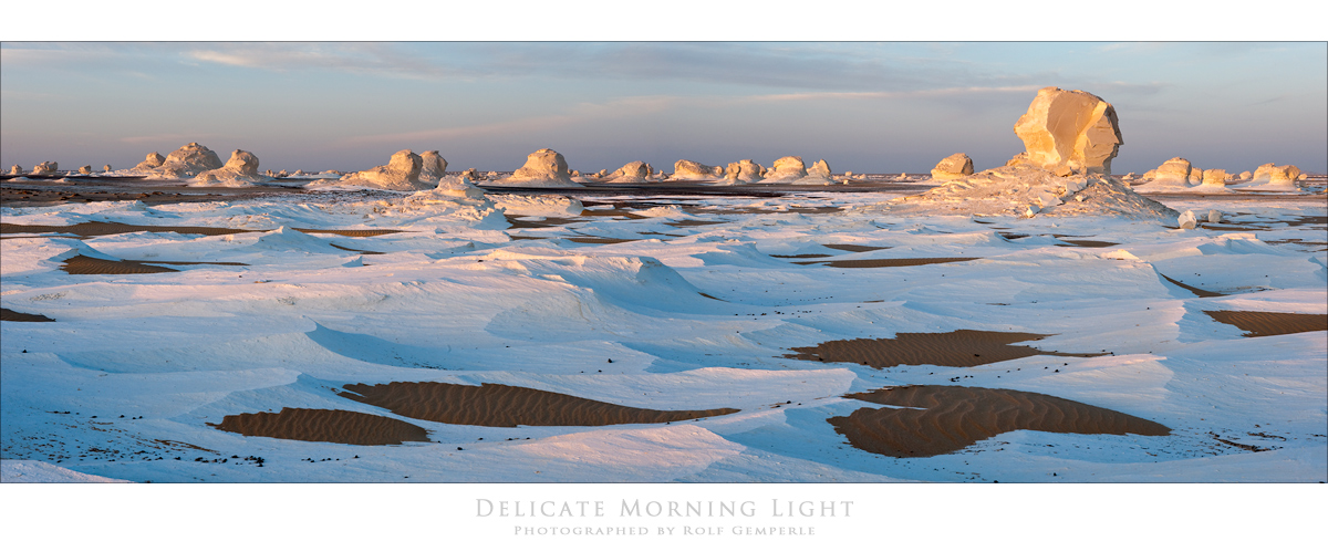 Delicate Morning Light