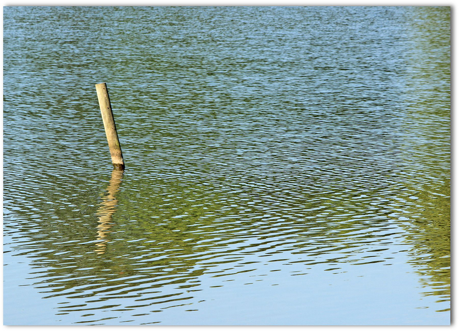 Délicate Pesanteur au Fil de L' Eau...